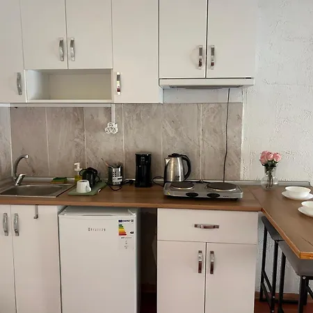 I1 House With Lovely Seaview Terrace イスタンブール